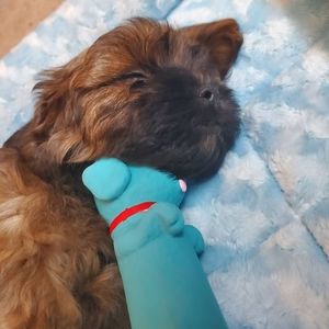 Meet your Posher, Marissa